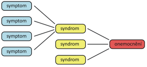 Symptomy.png